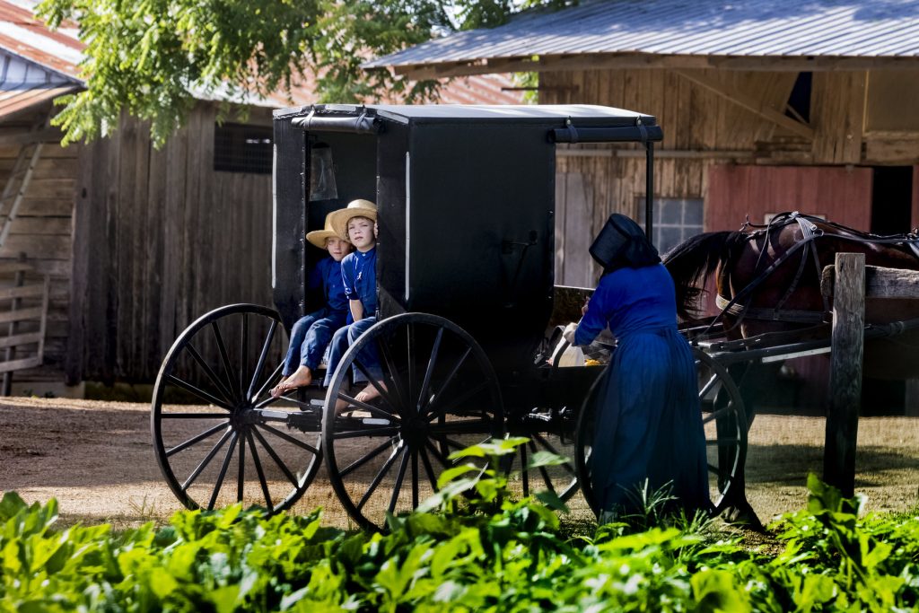 Amish and Mennonite of Tennessee buggy boys. Amish and Mennonite of Tennessee buggy boys.