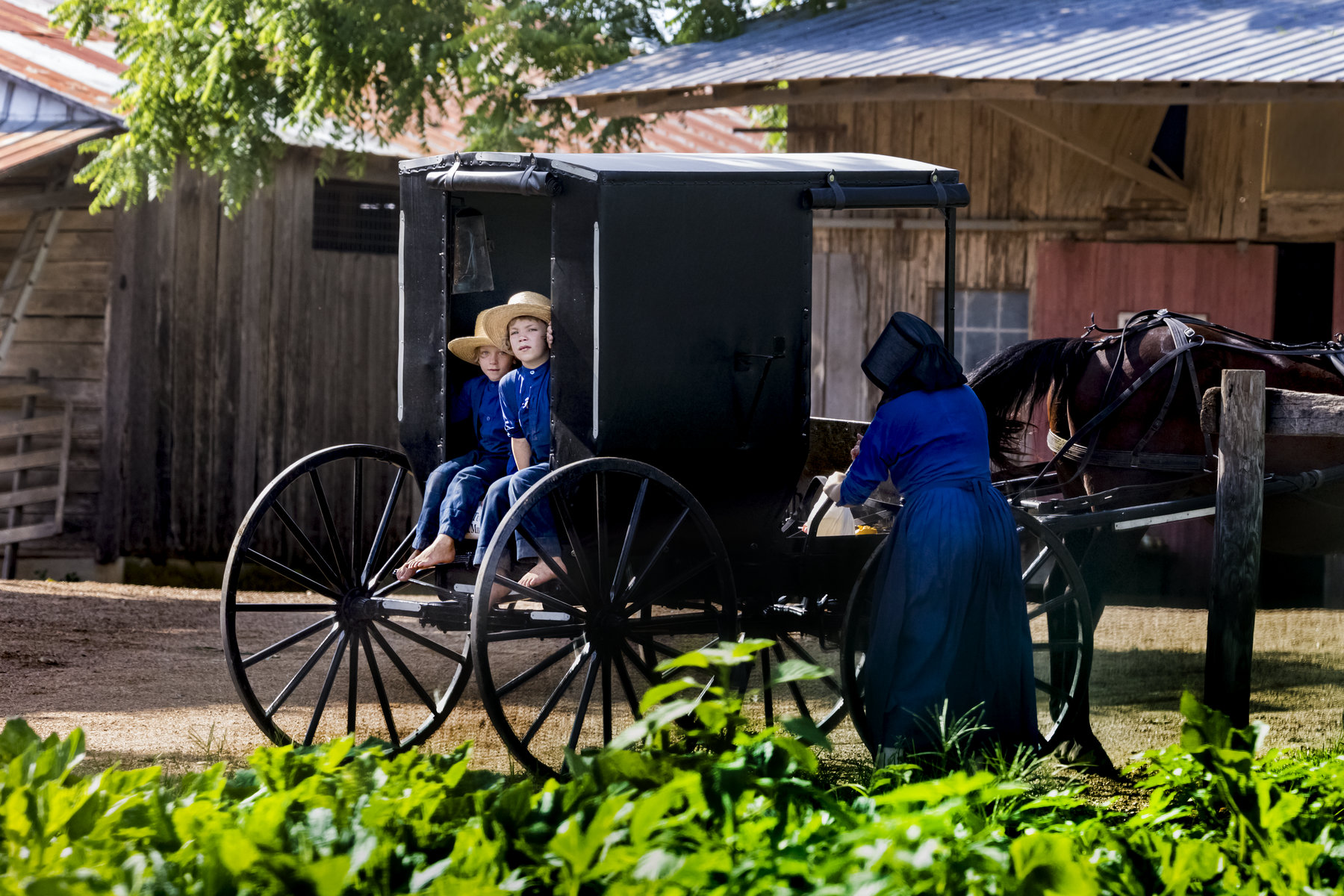 Amish Mennonite of Tennessee Coming Soon Amish and Mennonite of Tennessee