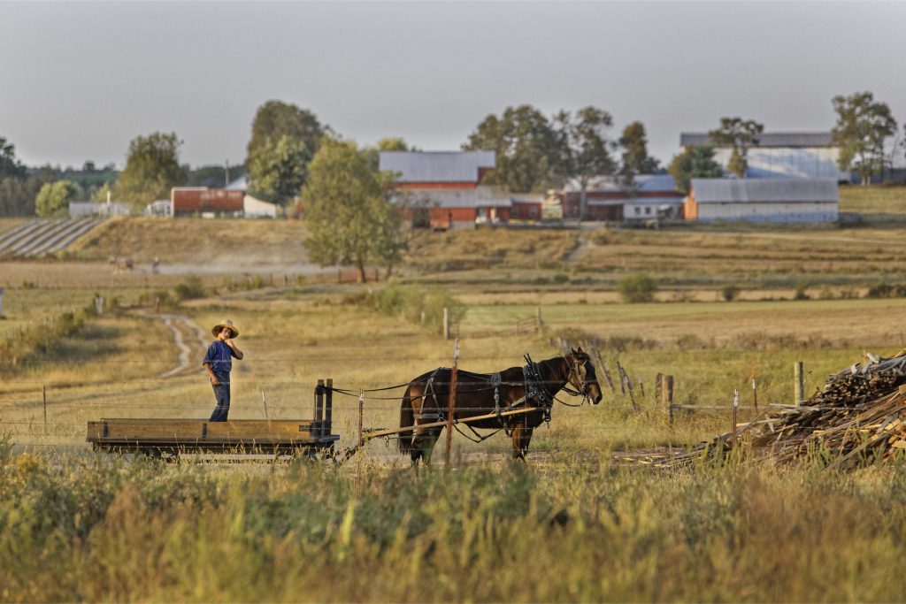 Amish and Mennonite of Tennessee boy on wagon. Amish and Mennonite of Tennessee boy on wagon.